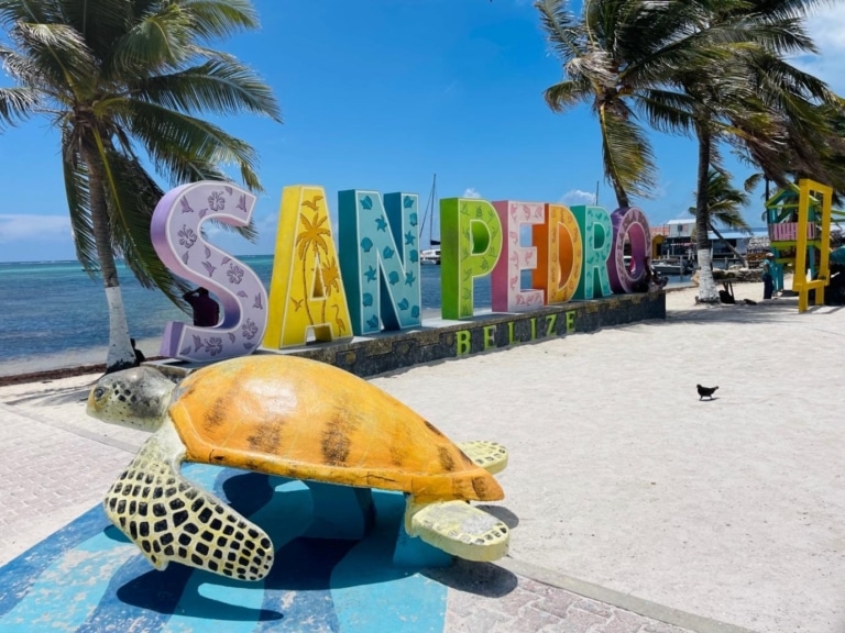 Top 5 Local Restaurants In Ambergris Caye, Belize