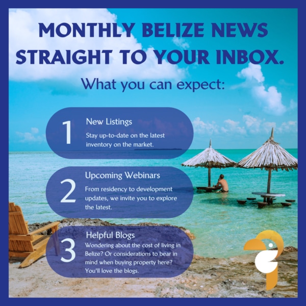 newsletter registration