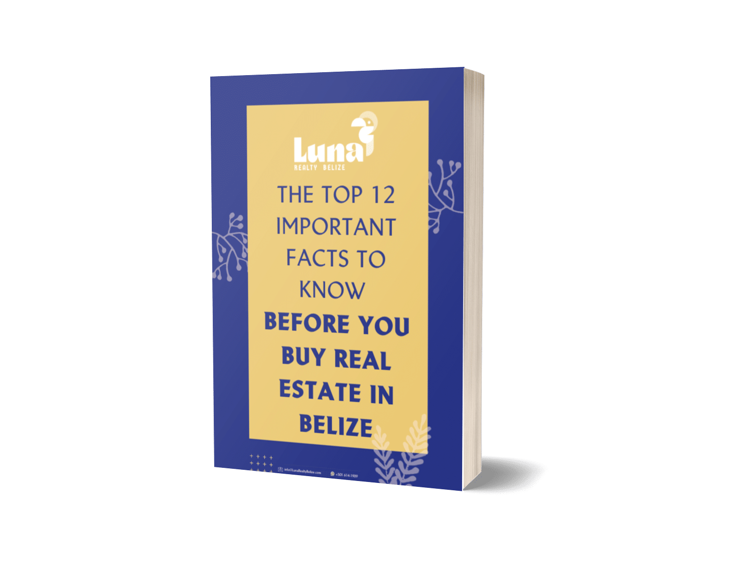 The Top 12 Important Facts to Know BEFORE You Buy Real Estate in Belize