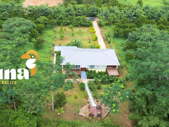 Sleeping Giant Drone View