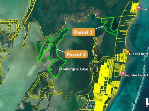 Two Huge Tracts of Land for Sale on Ambergris Lagoon