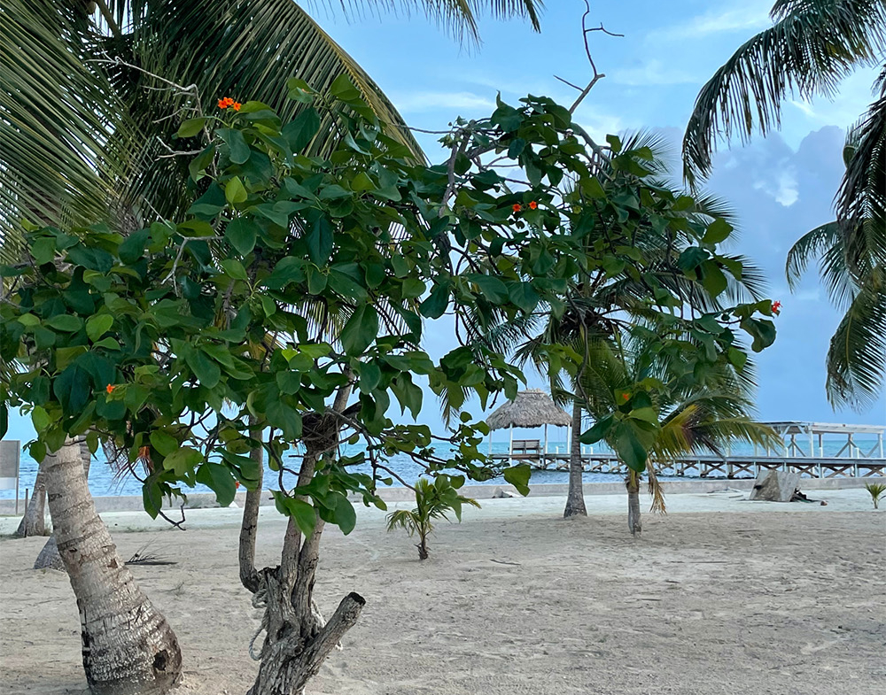 Prime Caribbean-Front Lot @ $420,000 - Belize Real Estate