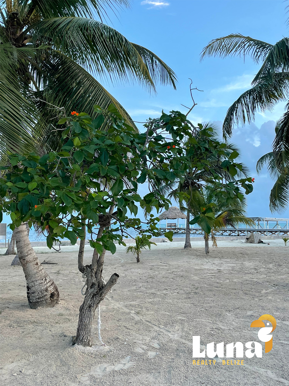 Prime Caribbean-Front Lot @ $420,000 - Belize Real Estate