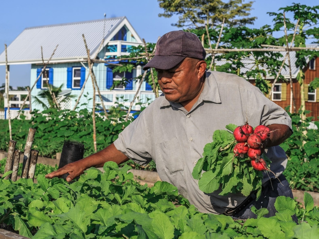 Gardening
