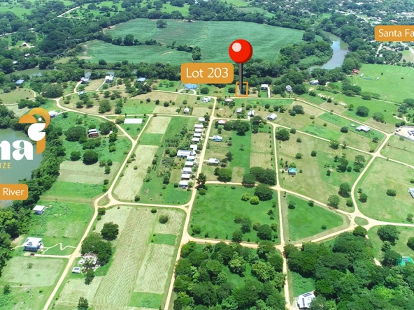 Land for Sale in Carmelita Garden