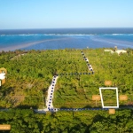 Habaneros Lot in Ambergris Caye