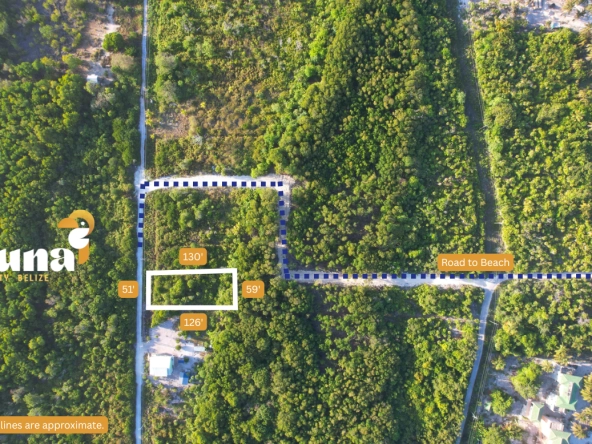 Habaneros lot 5 - straight on