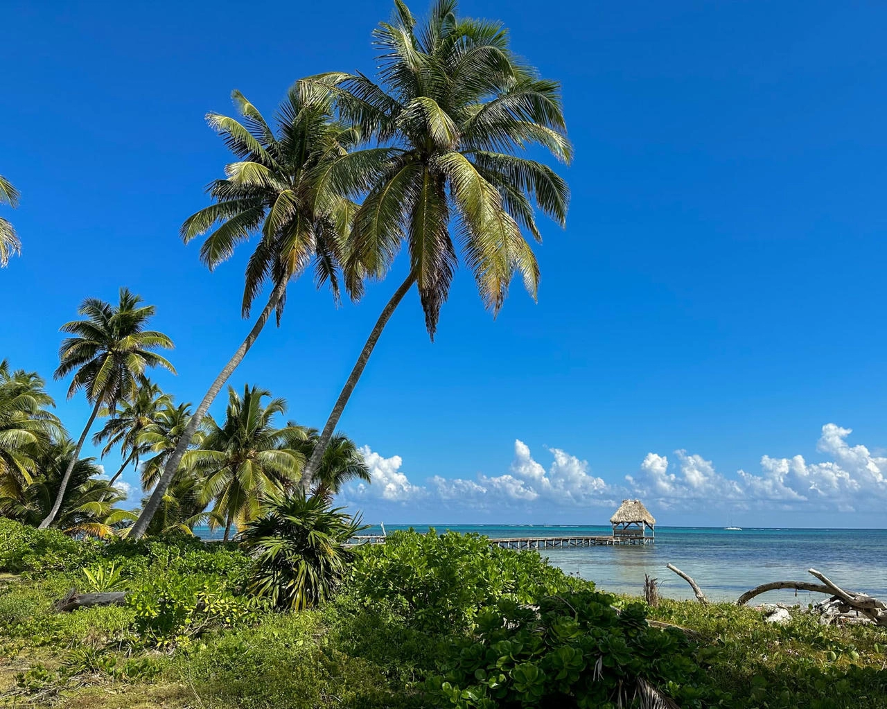 SPIslandBeachSanPedro-JV_20230206_1333061280