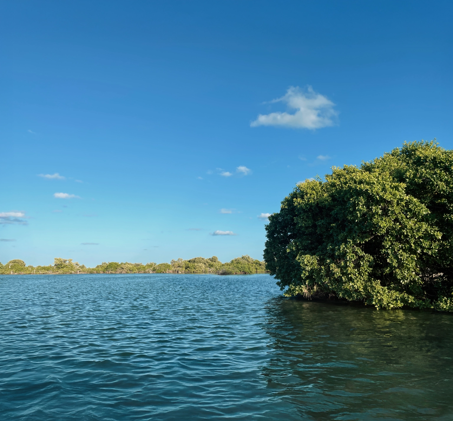 CayoFrancesFlyFishing-IMG_20240228_150403_3604