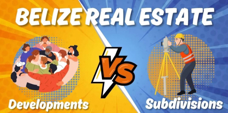 The Key Differences between Subdivisions and Developments