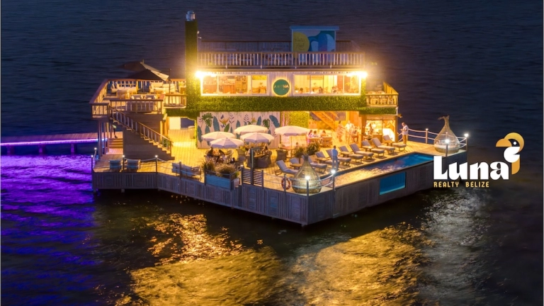 Aruna at night with logo - 1