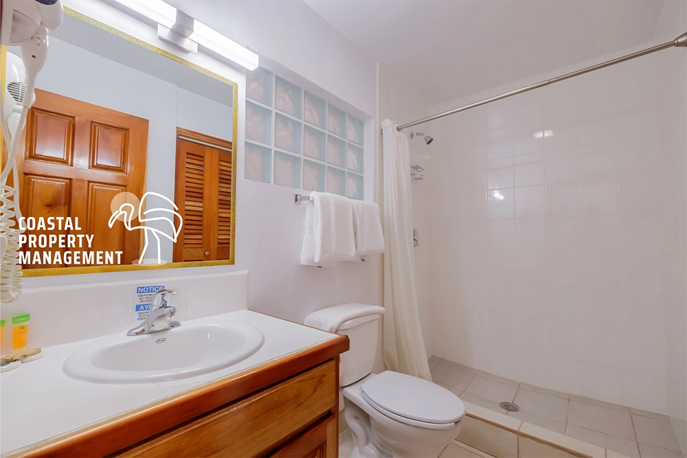 fully furnished 1br condo for rent in ambergris caye