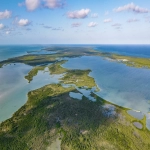 Silver Palm Drone View