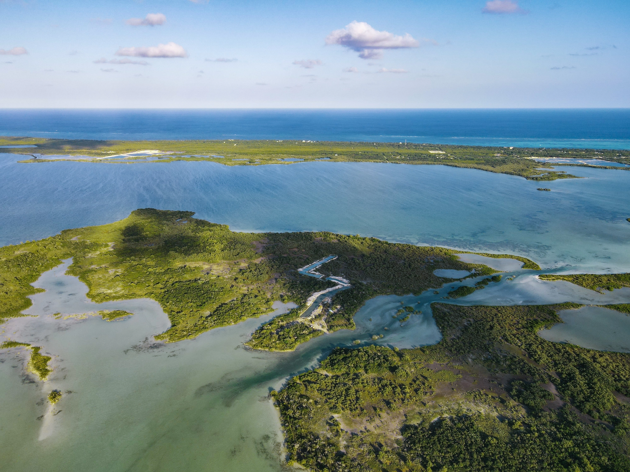 Silver Palm Belize Island Photo Zoomed in on Phase One