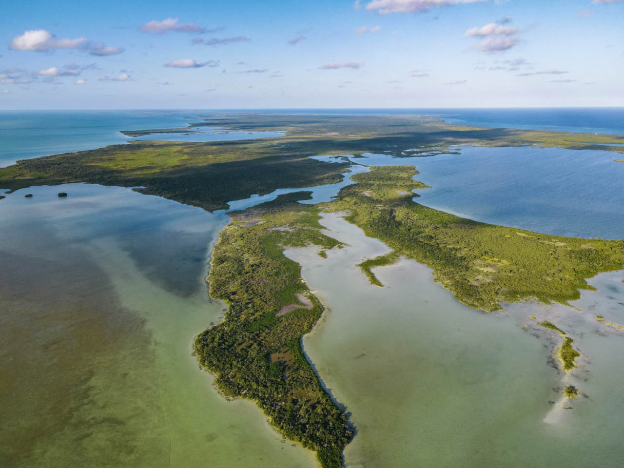 Silver Palm Belize Island Northern and Western Section of Island