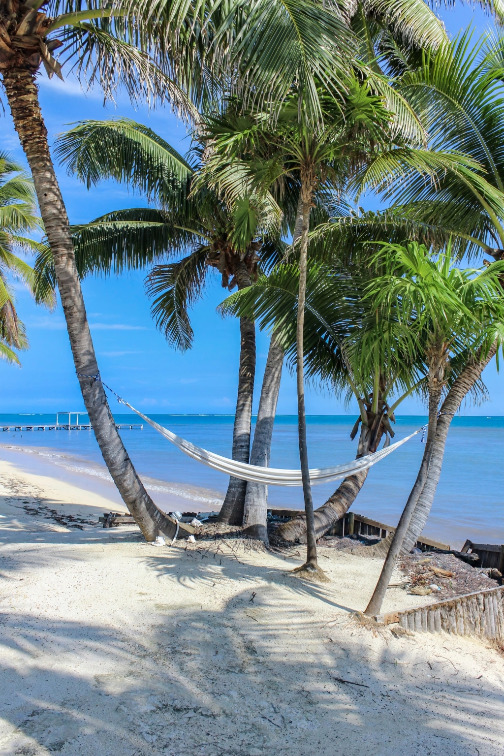 HammockBeachAtSapphire-JV_20230309_234223_1477758922