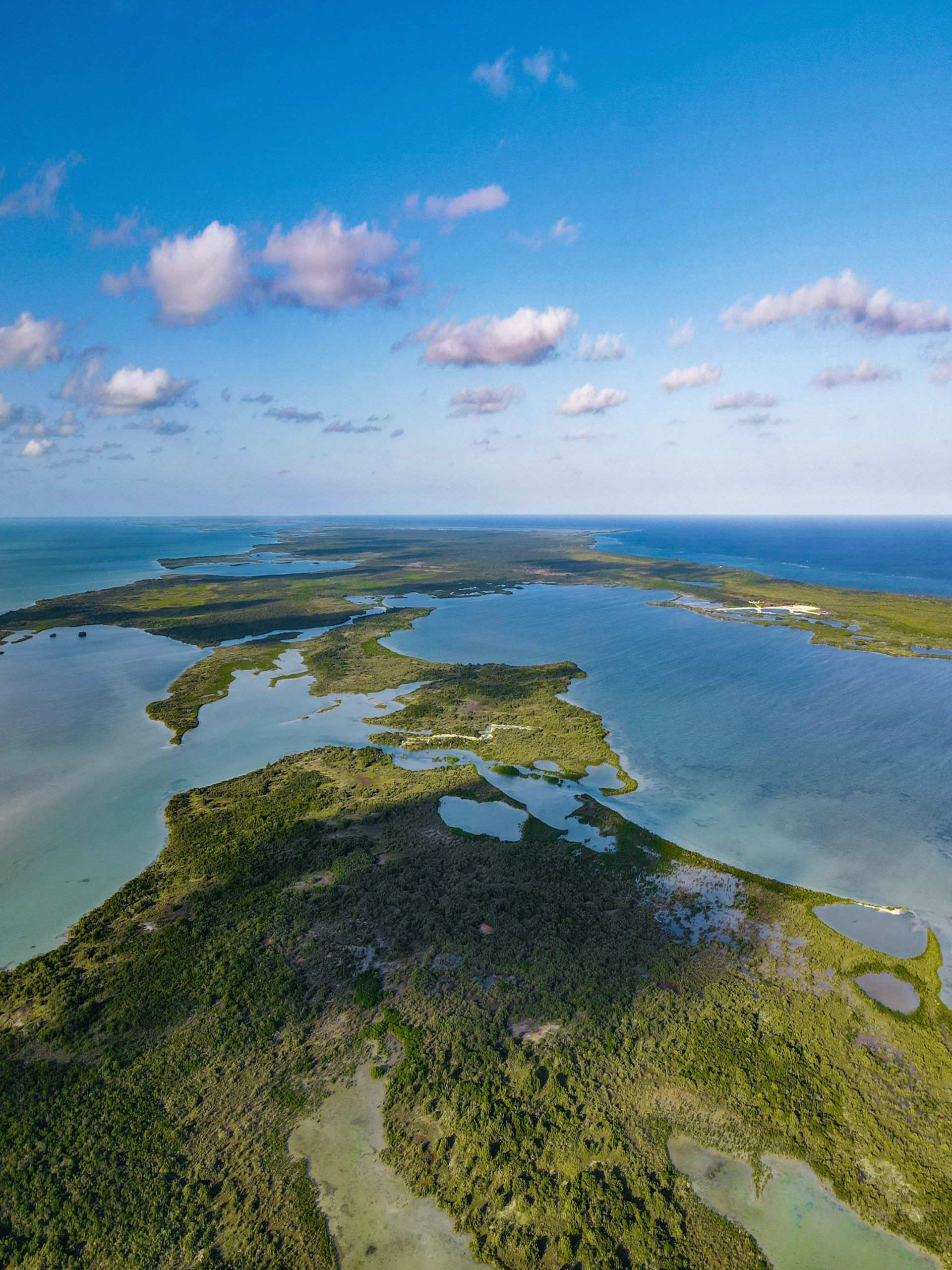 Silver Palm Real estate