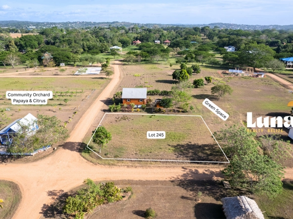 3. Lot 245 - showing greens space and orchard