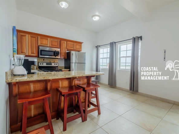 Modern kitchen with full appliances in Belize condo