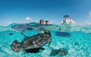 Strong Banking & Financial Security