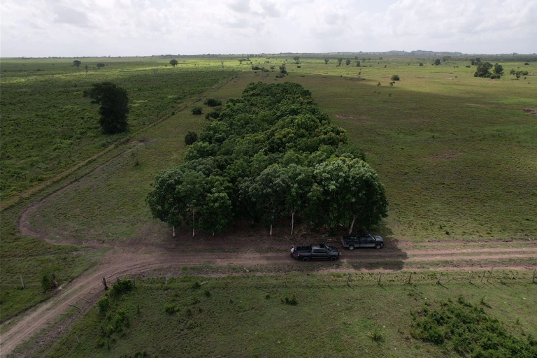 Prime Farmland in Orange Walk – 359 Acres