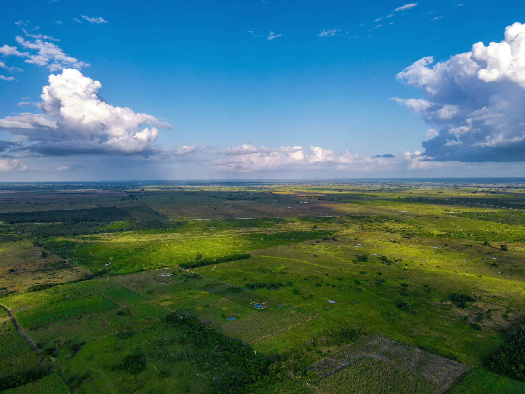 Farmland