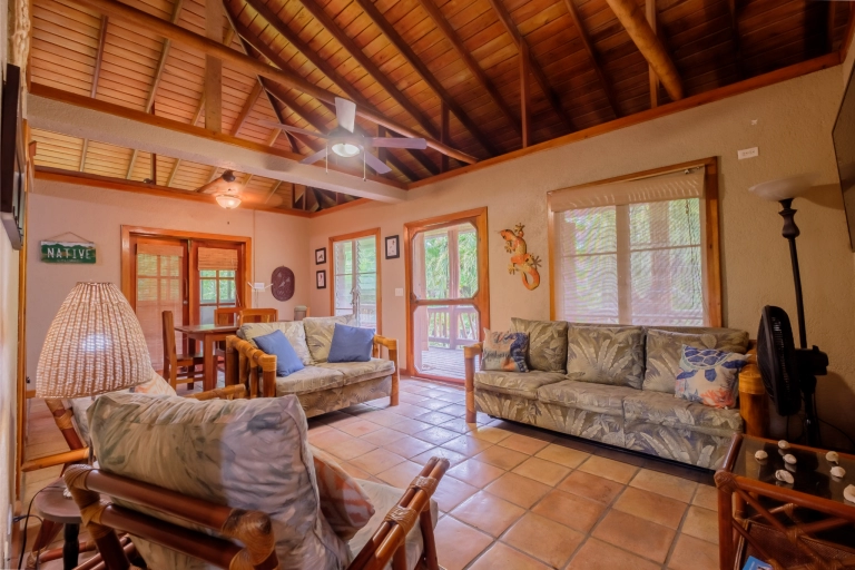 Island Duplex, Two-Story, in Coveted Tres Cocos Neighborhood