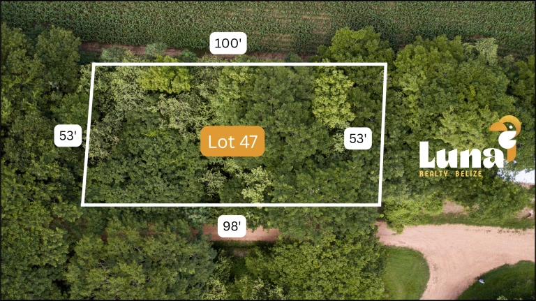 Green Garden Lot in Paradise – Lot 47 at Carmelita Gardens