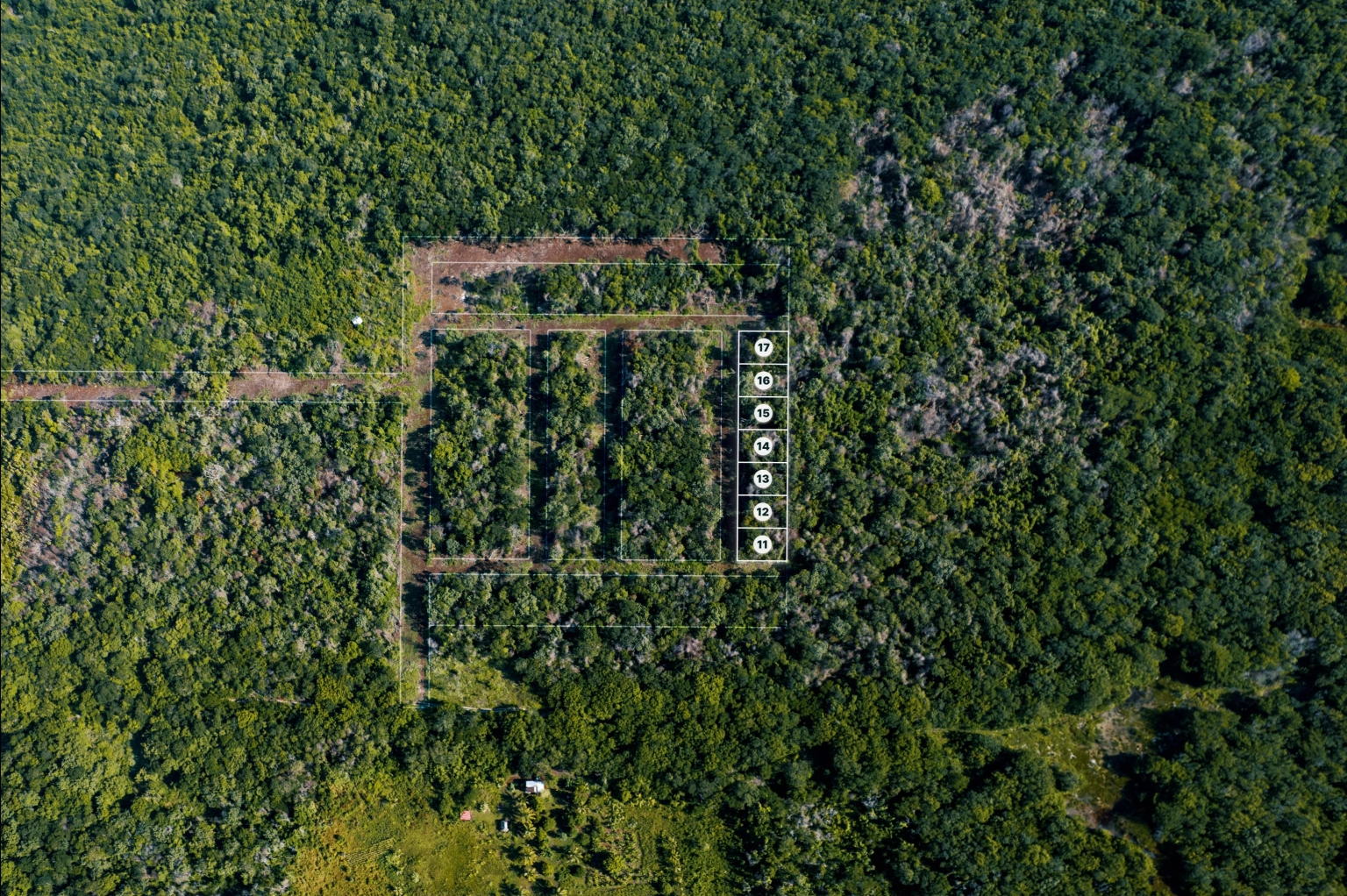 Mangrove Crossing - Aerial Sitemap Overlay - PHASE 01 [Complete]