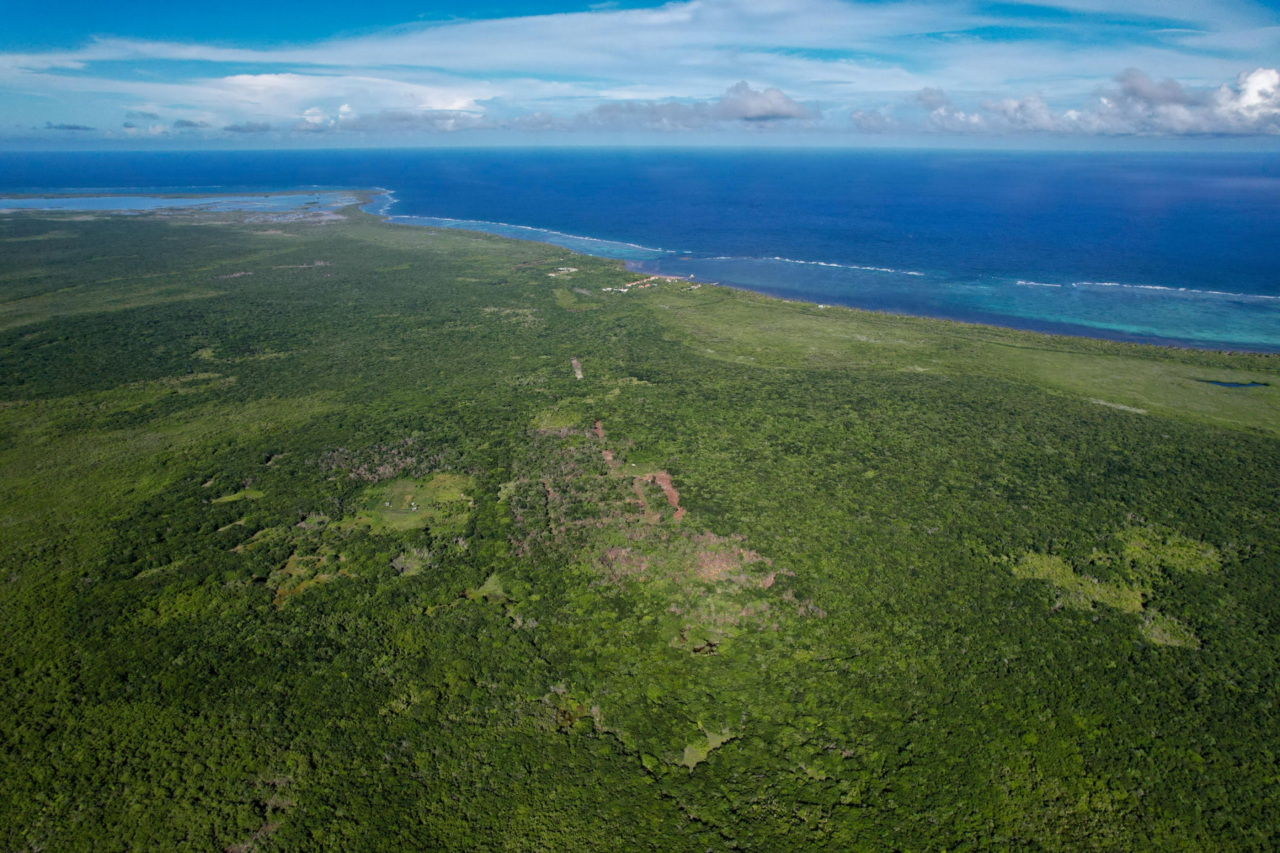 Lots/land in Mangrove Crossing