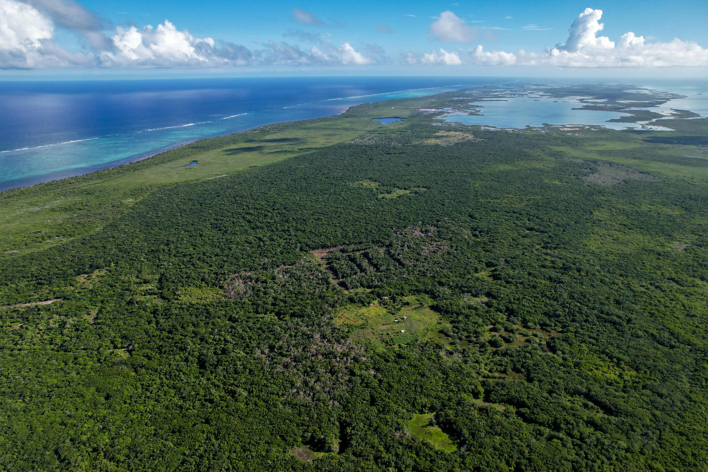 Aerial view of Mangrove Crossing, North Ambergris Caye, Belize. Click here for more information. Aerial view of Mangrove Crossing, North Ambergris Caye, Belize. Click here for more information.