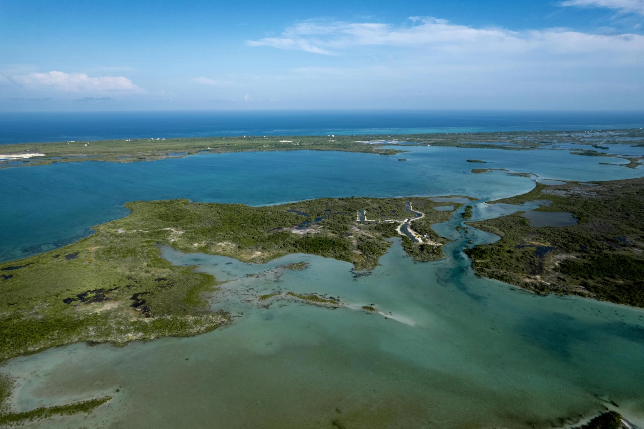 Pictured: The base of the island of Silver Palm, an enclave-island located within West Ambergris Caye. Ahead of it, near the horizon, is Newtown, on the East of Ambergris Caye. Pictured: The base of the island of Silver Palm, an enclave-island located within West Ambergris Caye. Ahead of it, near the horizon, is Newtown, on the East of Ambergris Caye. Find out more information about Silver Palm by clicking here.