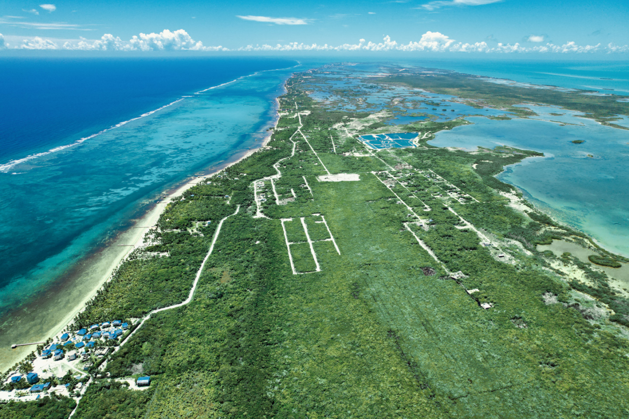 Land in Belize at Platinum Point Belize