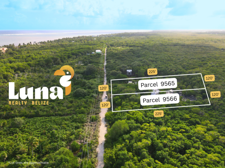 Habaneros Land with Road & Electricity – Parcel 9565 – 4 Rows from Caribbean