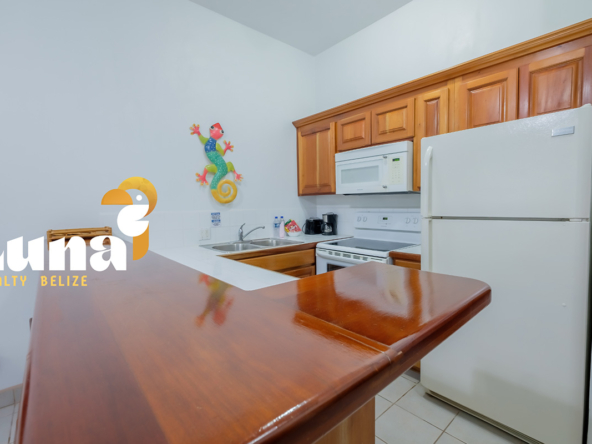 Fully Furnished 1BR Condo for Sale in Belize