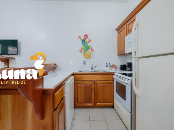Fully Furnished 1BR/1BA Condo for Sale in Belize