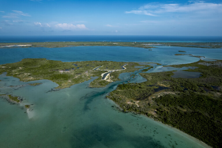 Canal-Front Silver Palm Island Lot › Phase 1: $125,000 | Private Boat Slip | 70% Financing