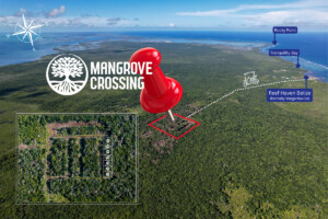 Fertile land for sale in North Ambergris Caye, Mangrove Crossing