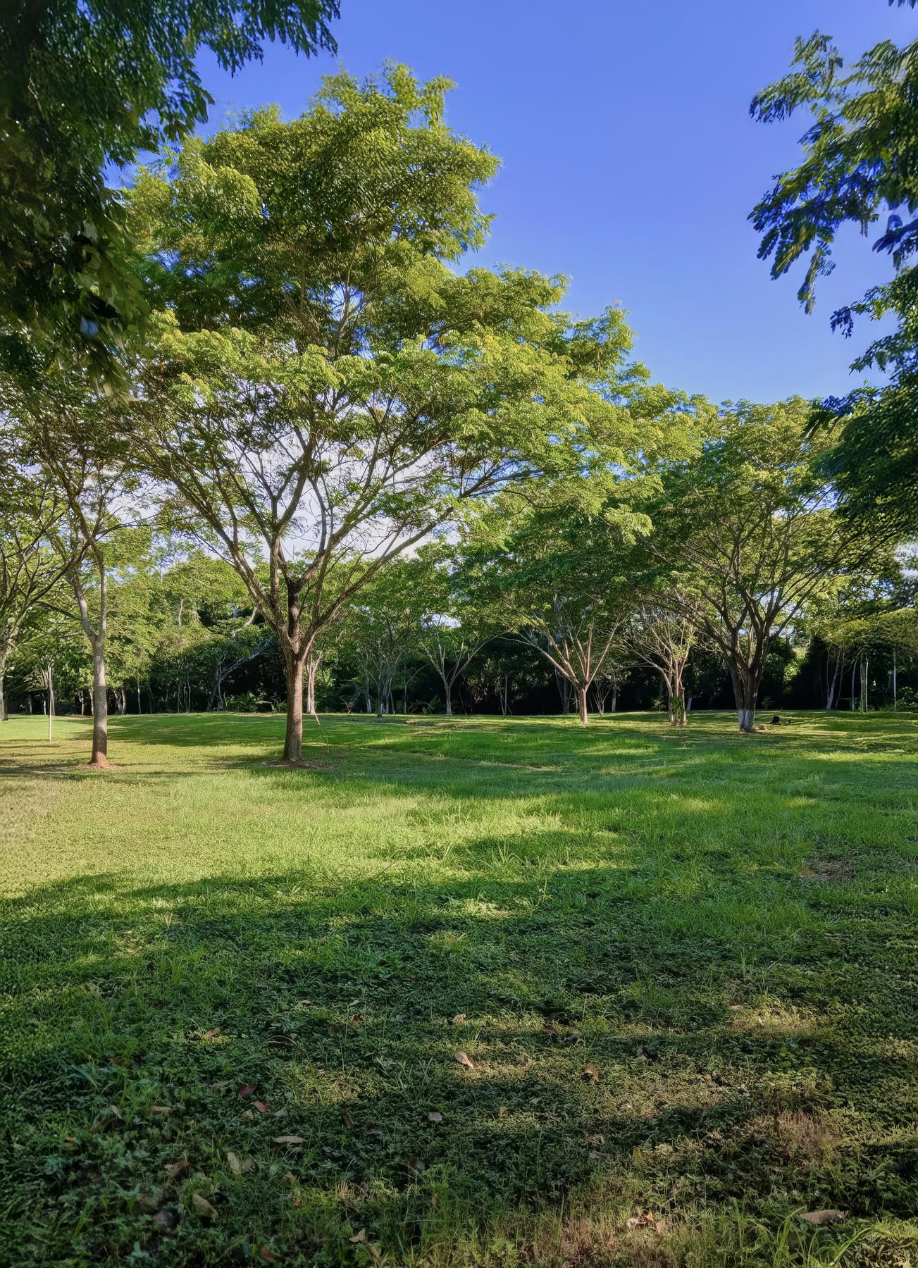 Carmelita Farms and Reserve