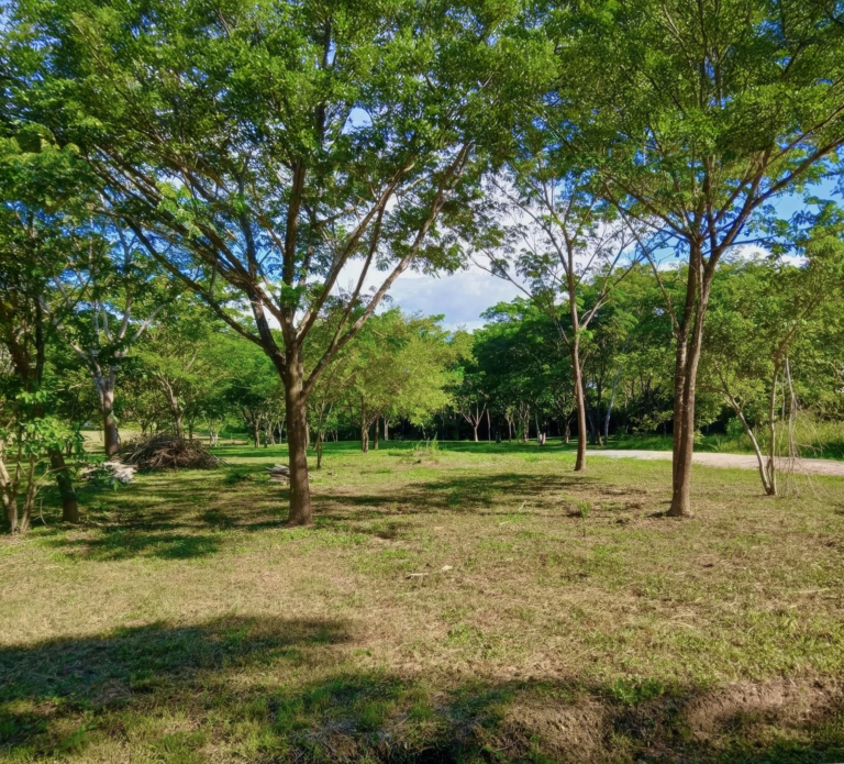 Carmelita Farms and Reserve