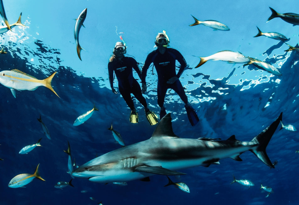 World-Class Snorkeling Destination in Belize