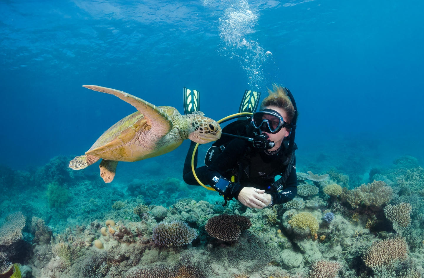 Snorkeling the Surrounding Reef Systems