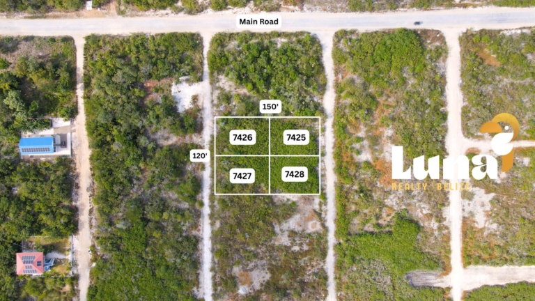 4 Adjacent Secret Beach Lots – Grand Belizean Estates