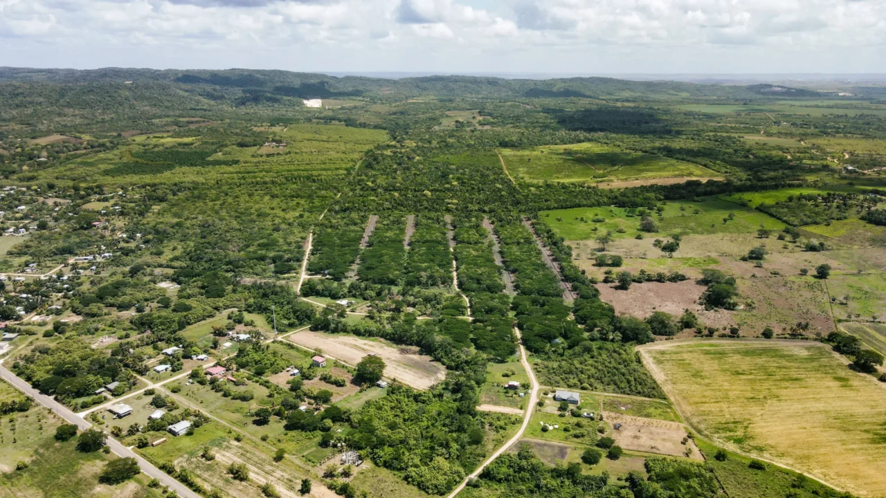 Carmelita Farms and Reserve, Santa Familia, Cayo District, Belize. Click here to find out more about Carmelita Farms and Reserve. Carmelita Farms and Reserve, Santa Familia, Cayo District, Belize. Click here to find out more about Carmelita Farms and Reserve.