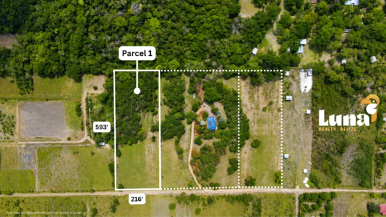 3 Acres in Bullet Tree Falls – Elevated Homesite, Road Access & Peaceful Setting – Lot 1