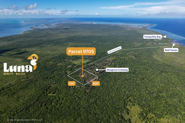 Parcel 9705 - Prime North Ambergris Caye real estate with fertile land and subdivision opportunities