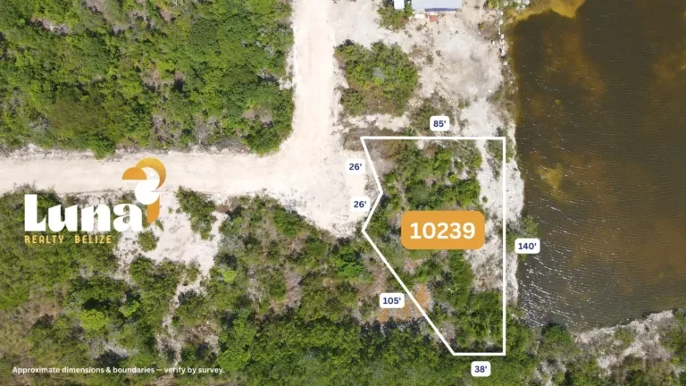 Boundary view of Secret Beach land for sale in Ambergris Caye Belize