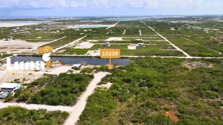Elevated terrain on Parcel 10239 near Secret Beach, Ambergris Caye