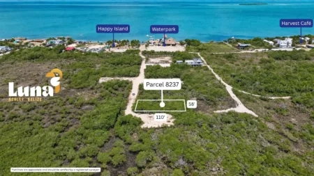 Secret Beach Belize Lot for Sale – 58′ x 110′ | Walk to the Beach (Parcel 8237)